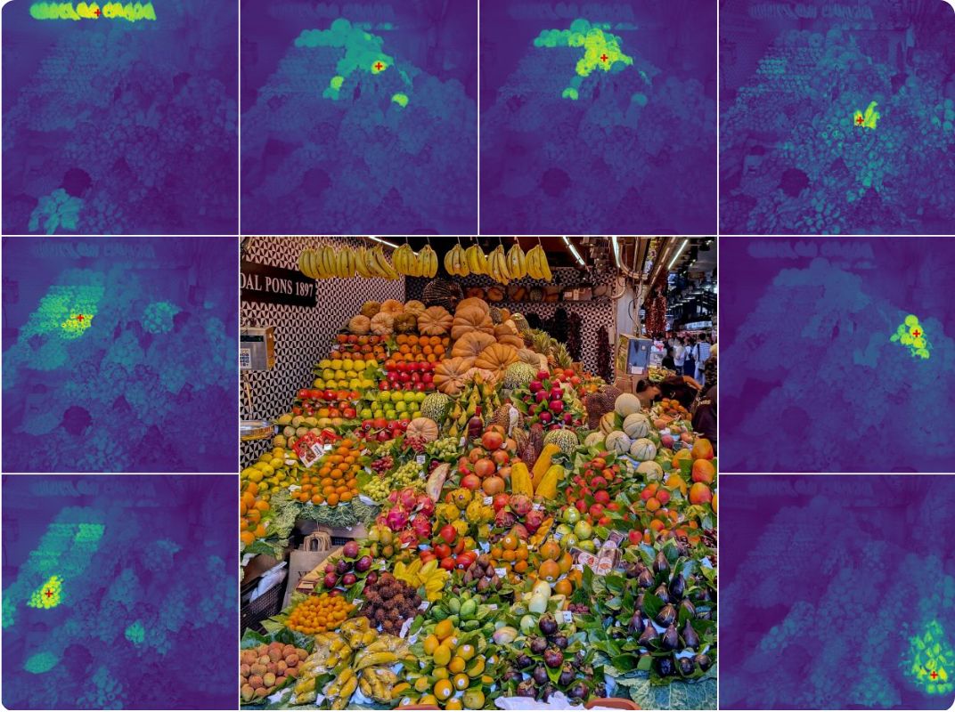 Visualización de características densas extraídas por DINO sobre varias imágenes.