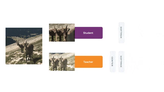 Animación del esquema estudiante y maestra con vistas locales y globales de la misma imagen.
