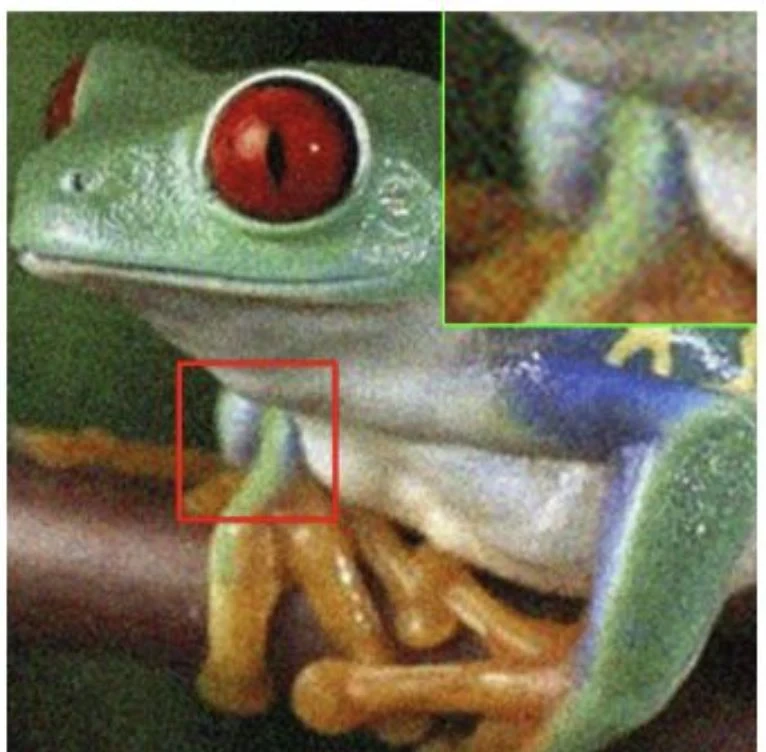 Una rana arborícola ampliada con interpolación bicúbica: ruido de color y textura empastada.